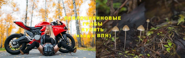 mdpv Михайловск