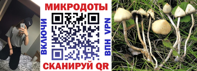 гидра как войти  Химки  Галлюциногенные грибы прущие грибы  где купить наркоту 