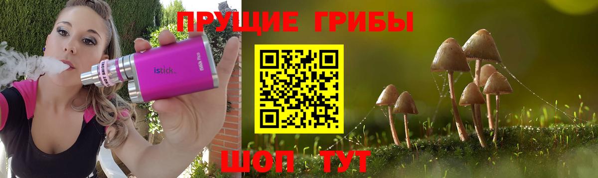 Галлюциногенные грибы Psilocybine cubensis Химки