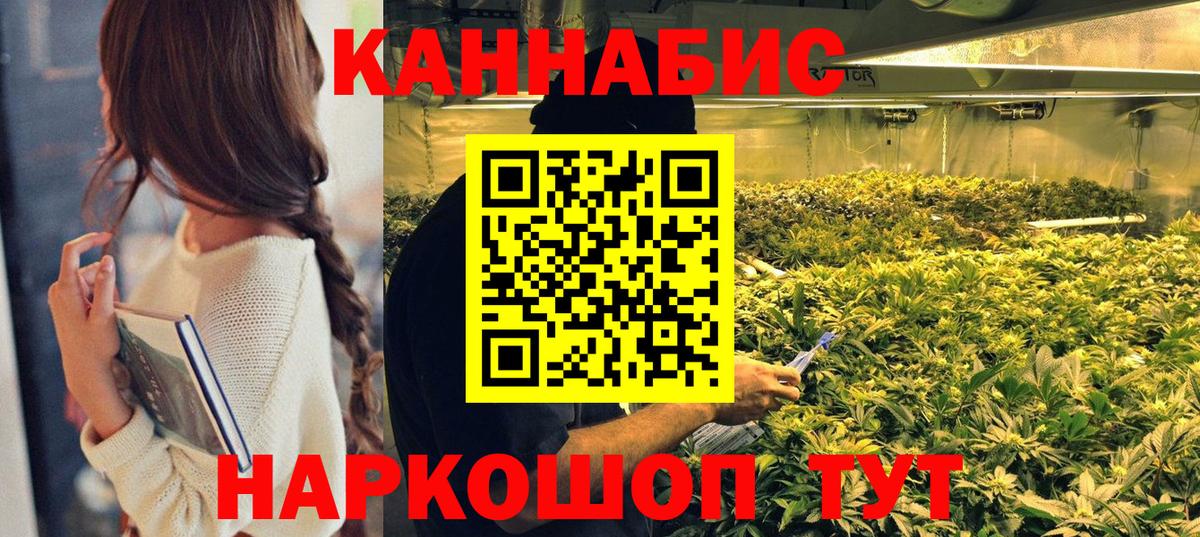 Бошки Шишки планчик Химки